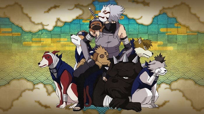 Thông Tin Về Hatake Kakashi