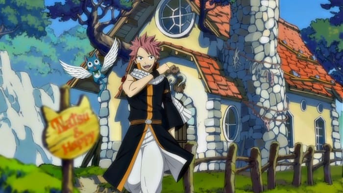 Tiểu Sử Của Natsu Dragneel