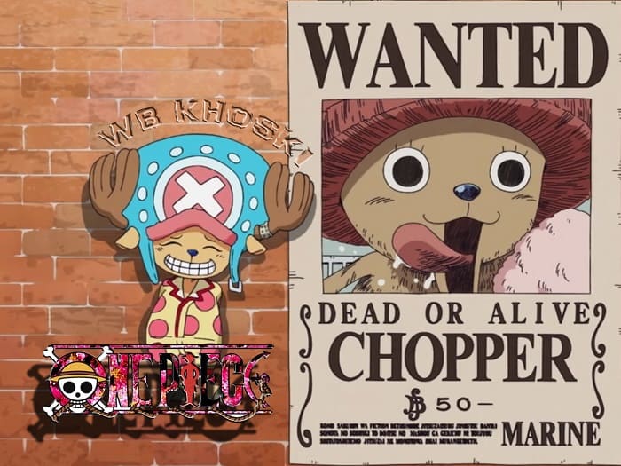 Tiểu Sử Của Tony Tony Chopper