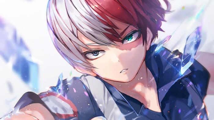 Tính Cách Của Todoroki Shoto